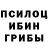 Галлюциногенные грибы мухоморы Costel Cecan