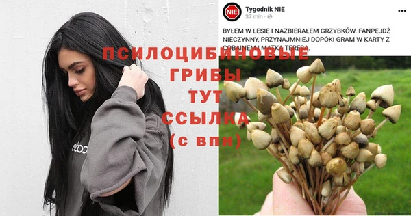 синтетический гашиш Беломорск