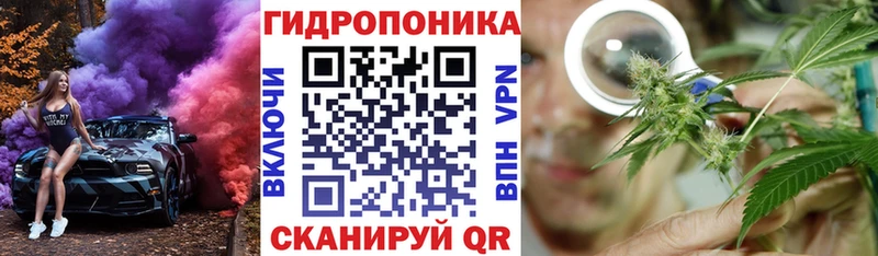 Конопля SATIVA & INDICA Ворсма